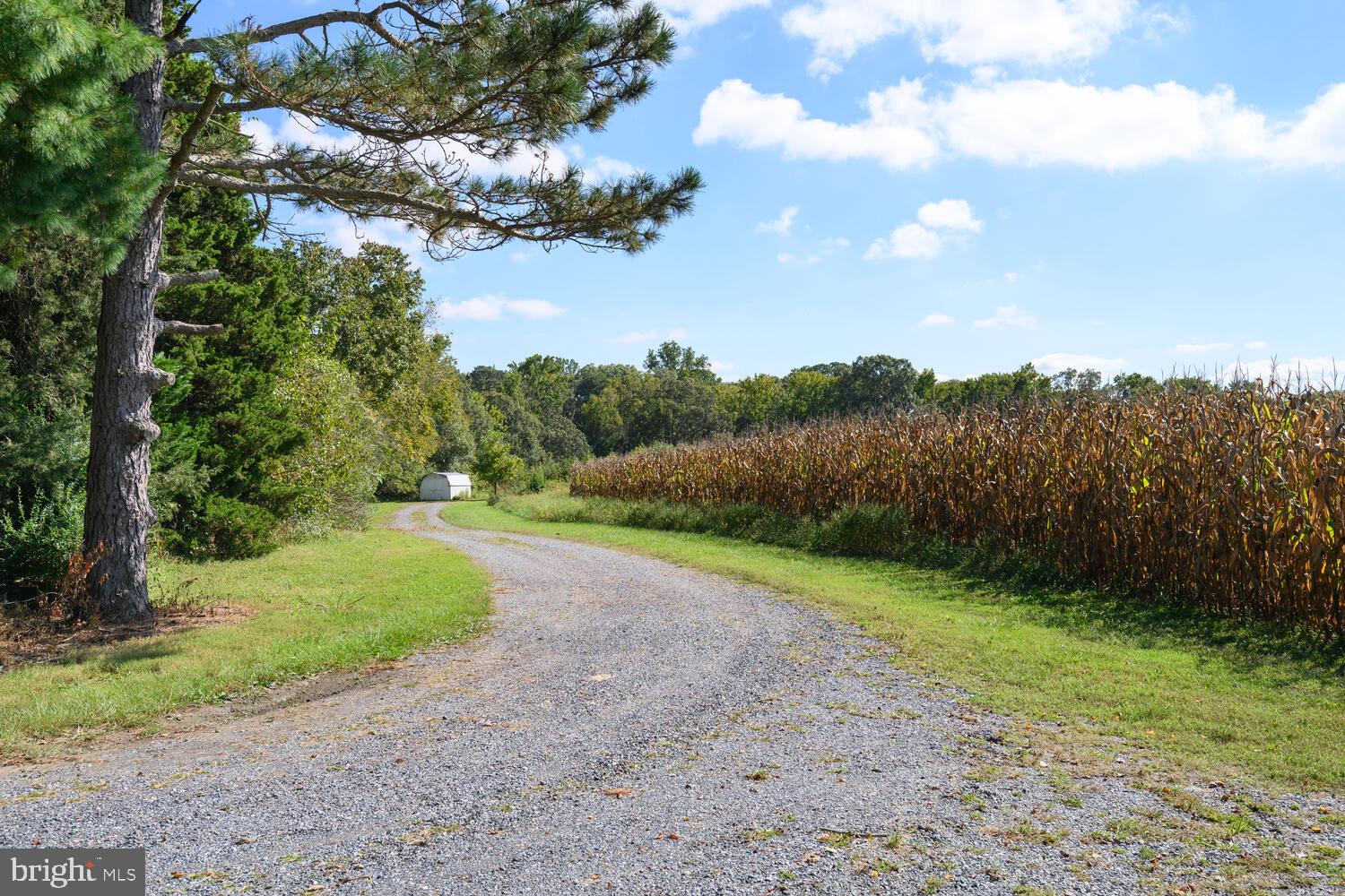 28923 ISLAND CREEK ROAD