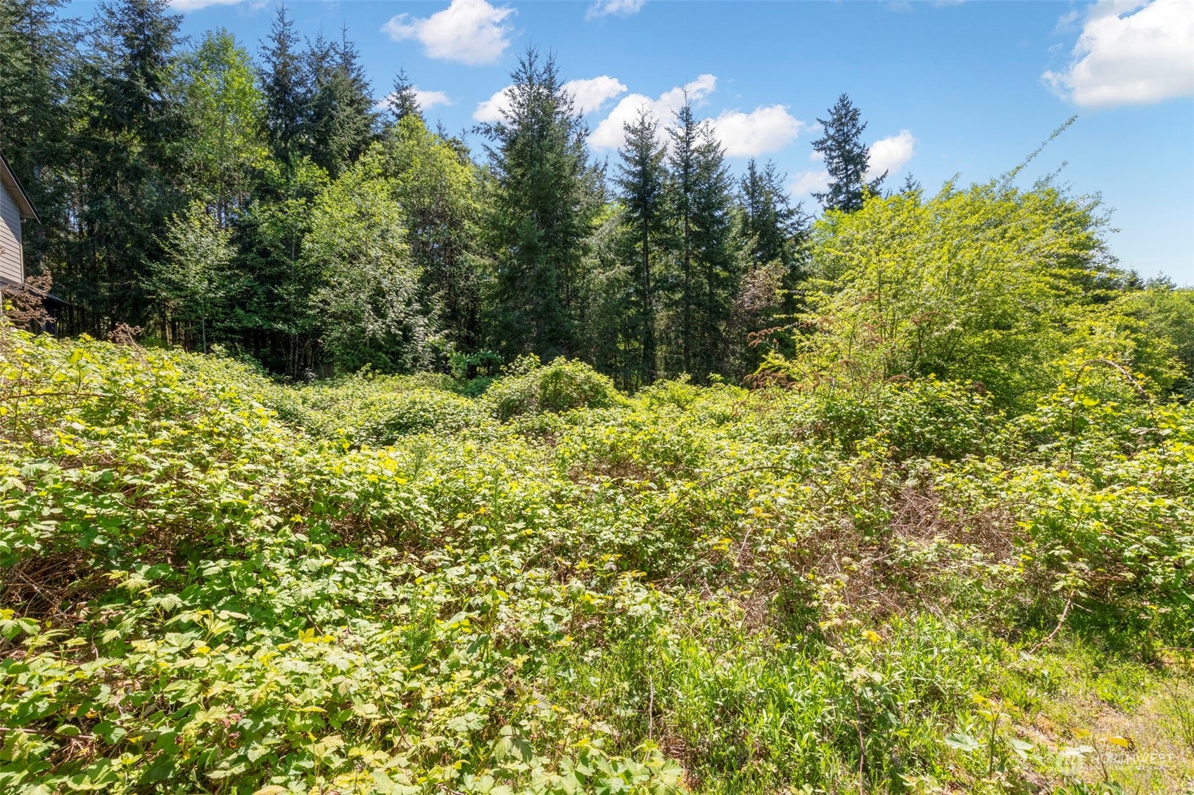 23131 Aslan Place NE