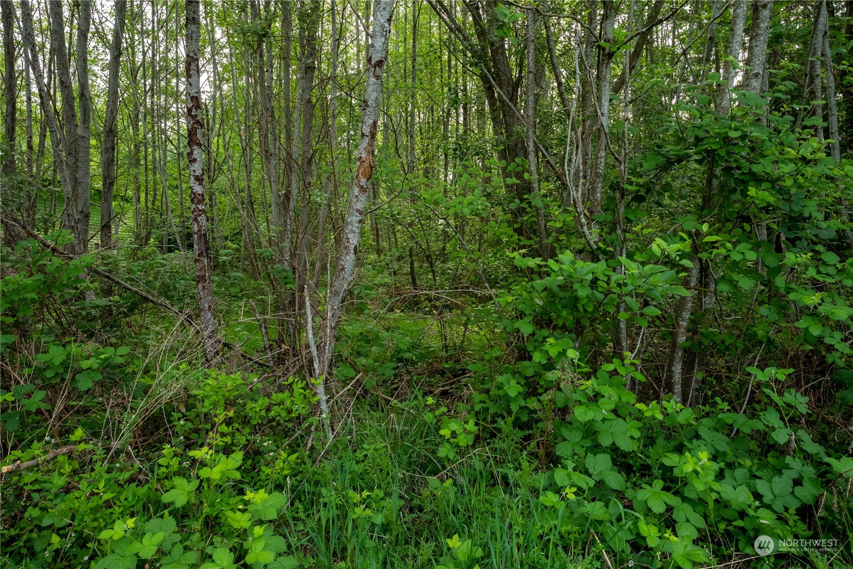 21118 Howard Avenue NE