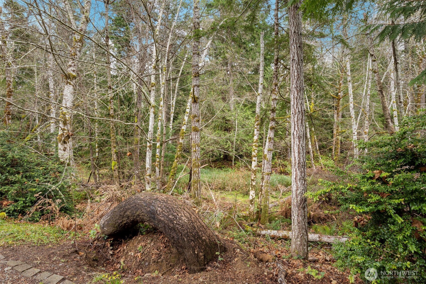 9240 Priddy Vista Road NW