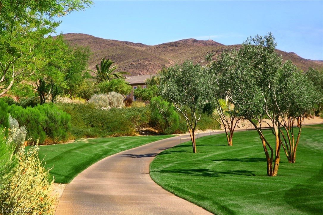 576 Magma Peak Drive