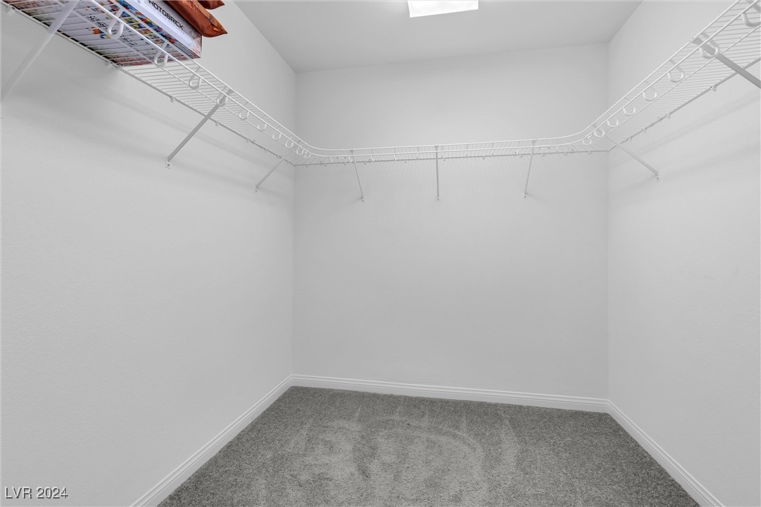 9833 Toad Hollow Street