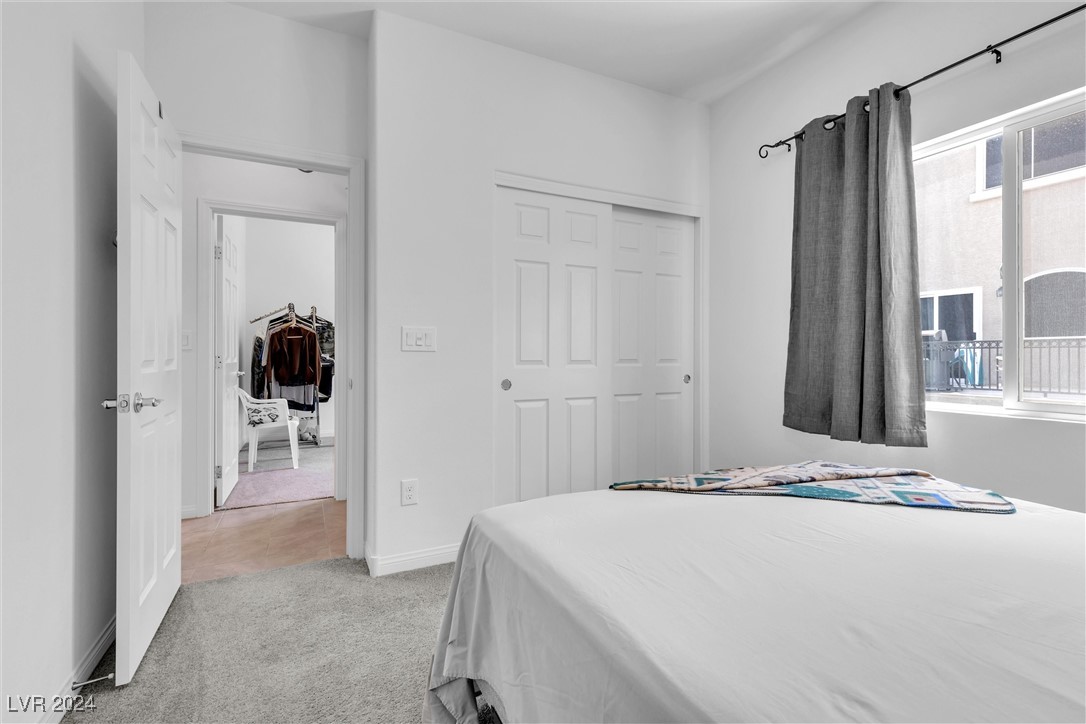 9833 Toad Hollow Street