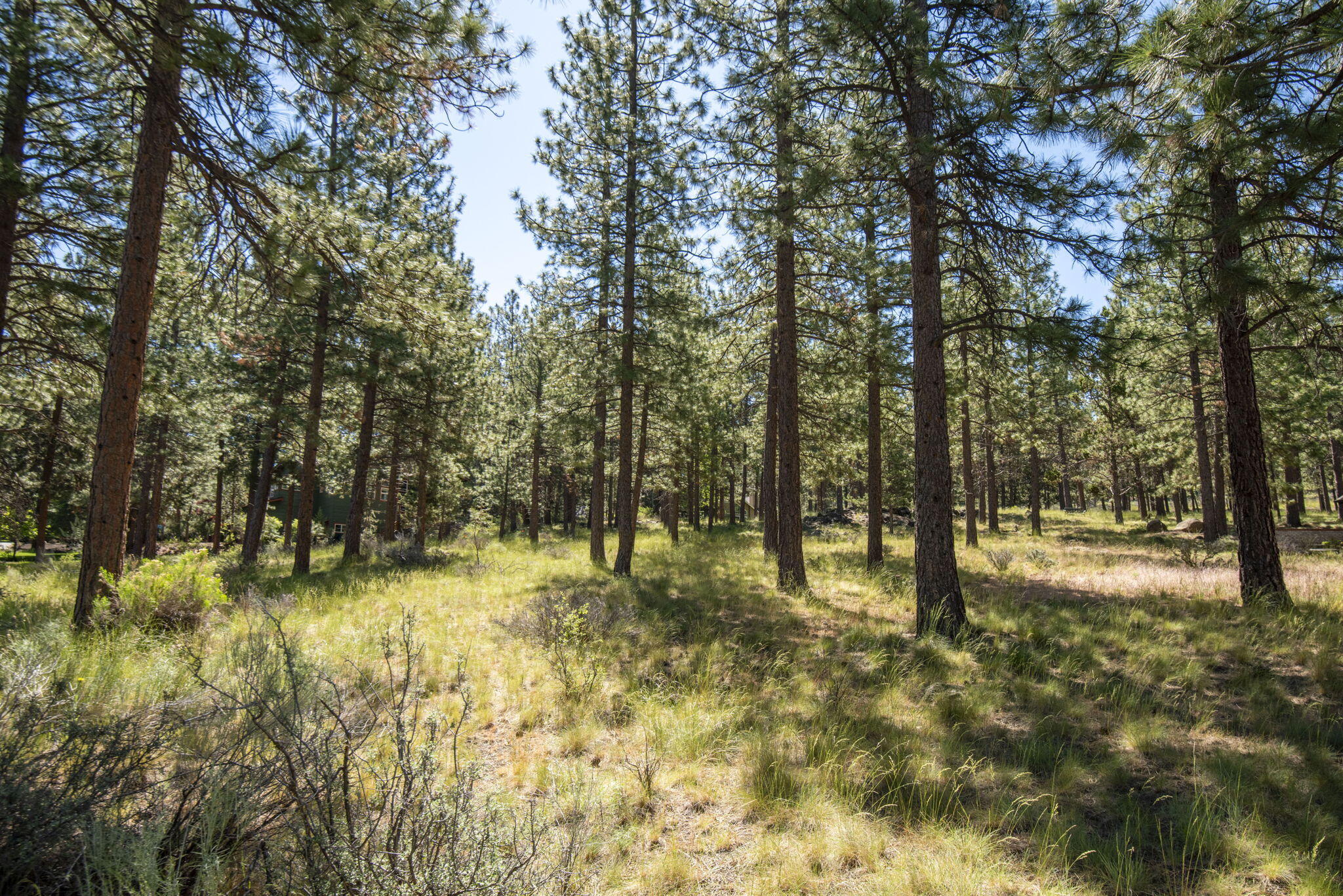 2544 NW Obrien Court