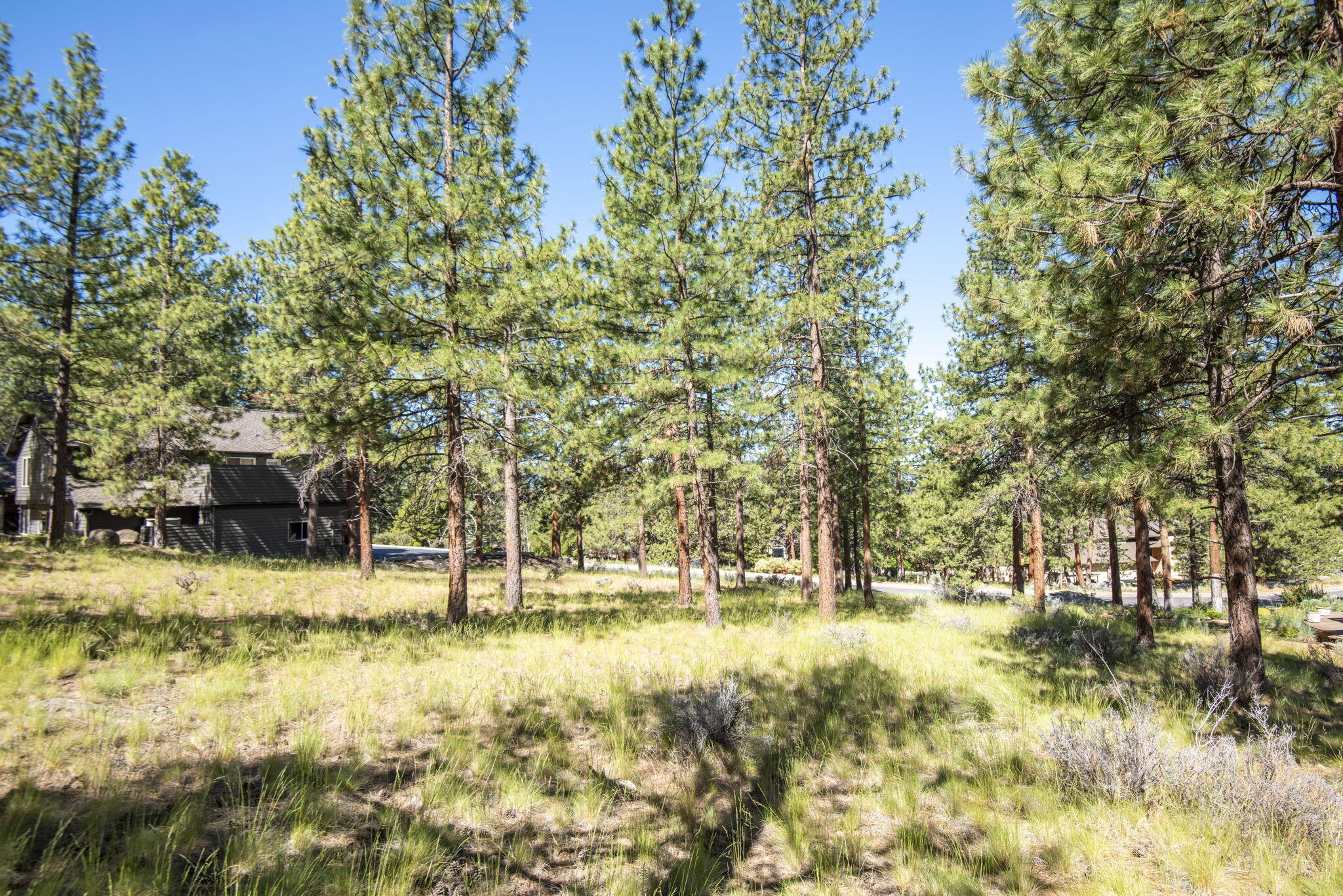 2544 NW Obrien Court