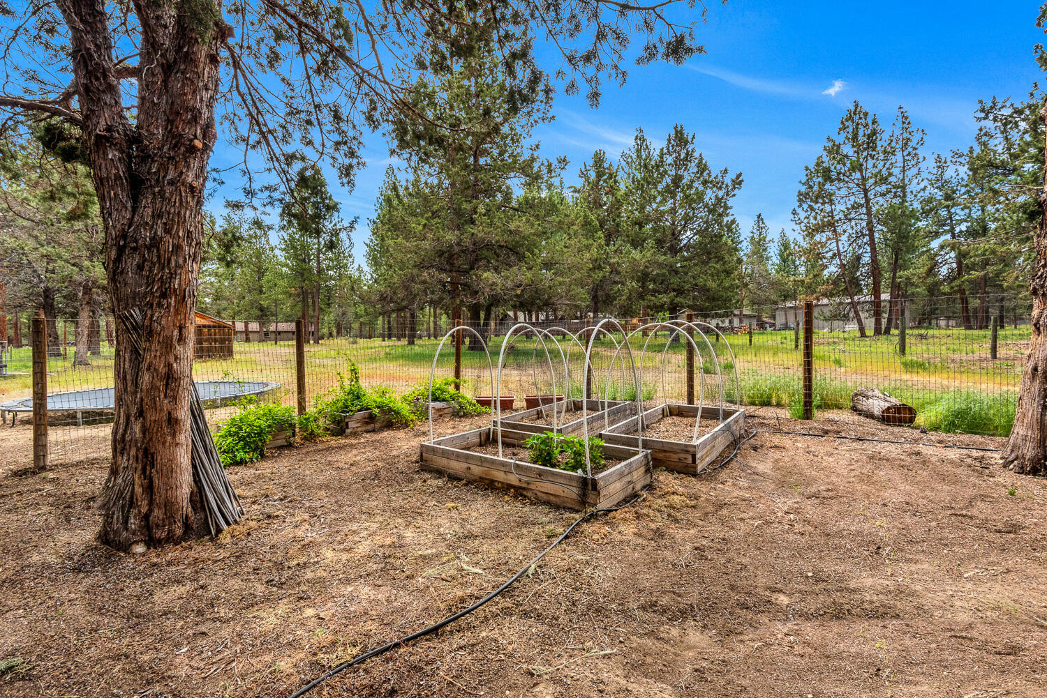 63544 Bridle Lane