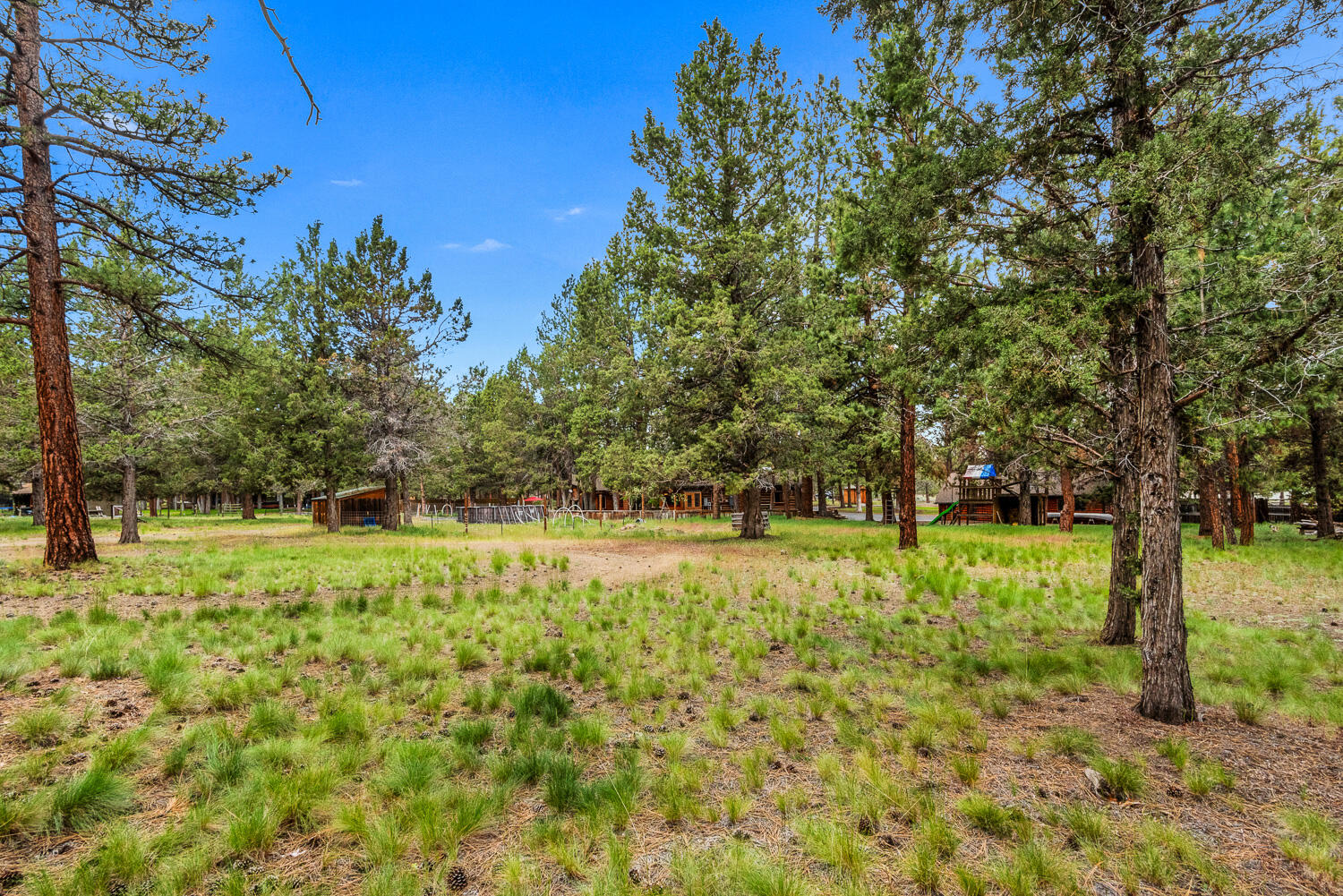 63544 Bridle Lane