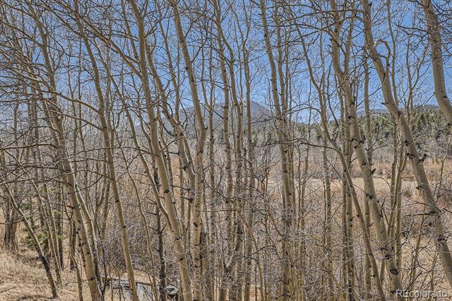 44 Forest Ridge Circle