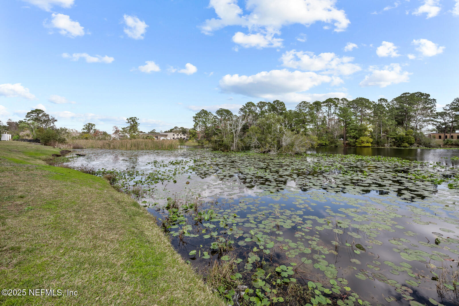 2341 WHITE SANDS Drive