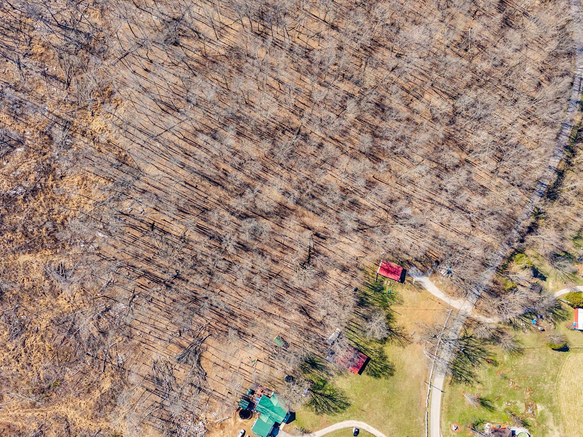 1742 Walter Stone Rd