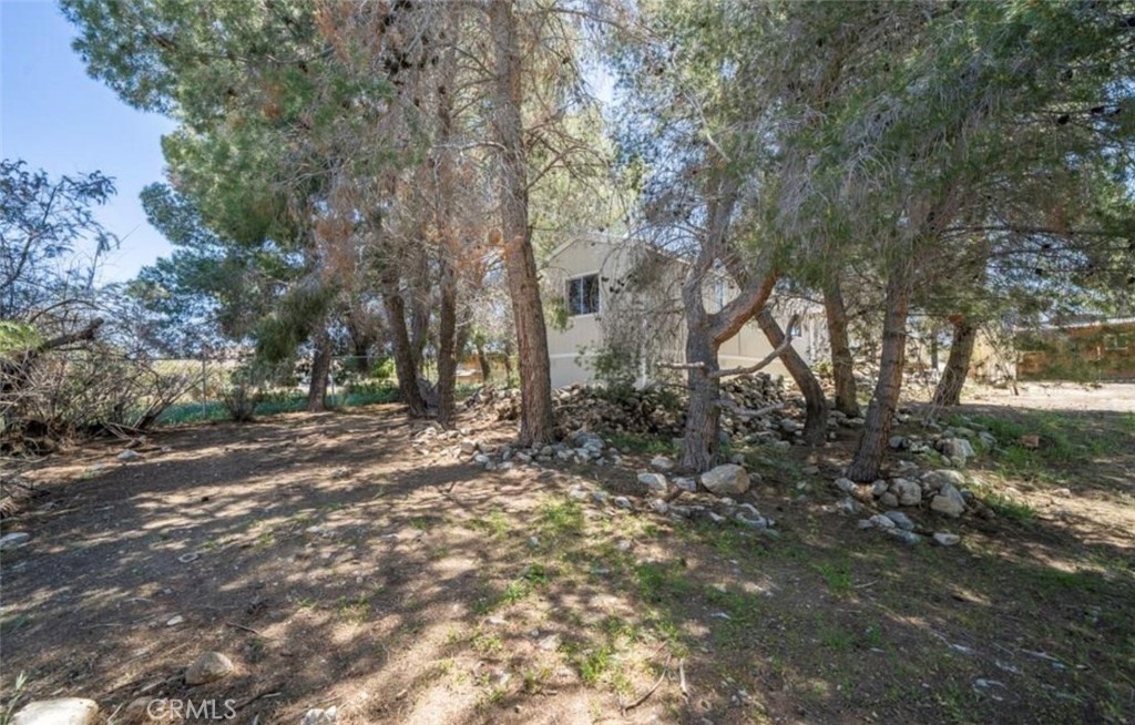 1568 Smoketree Road