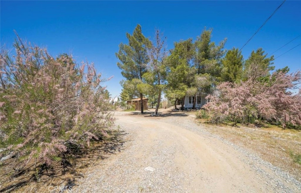 1568 Smoketree Road
