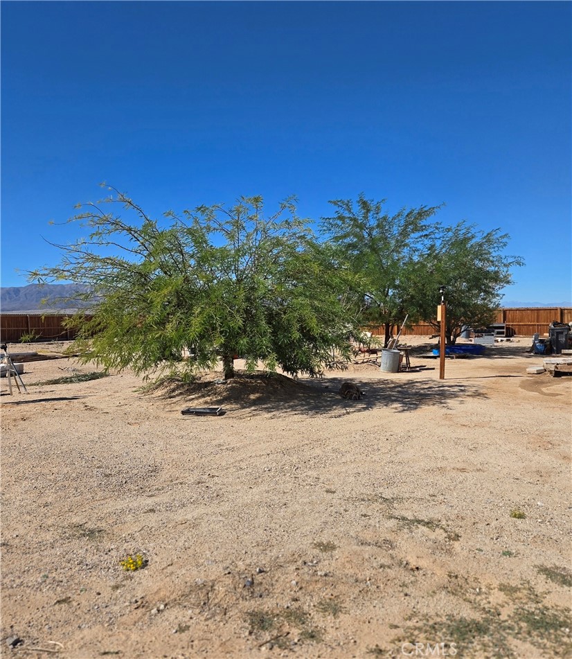 83415 Amboy Road