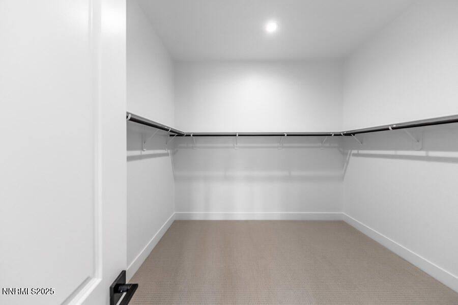 2940 Murrelet Way Cinnamon 83