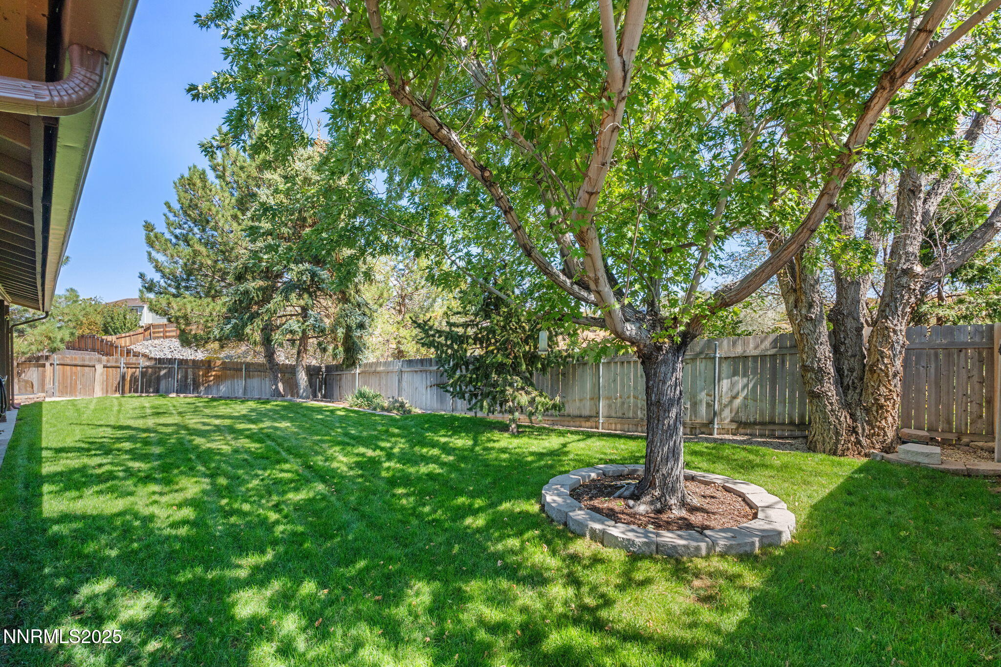8678 Strutter Way