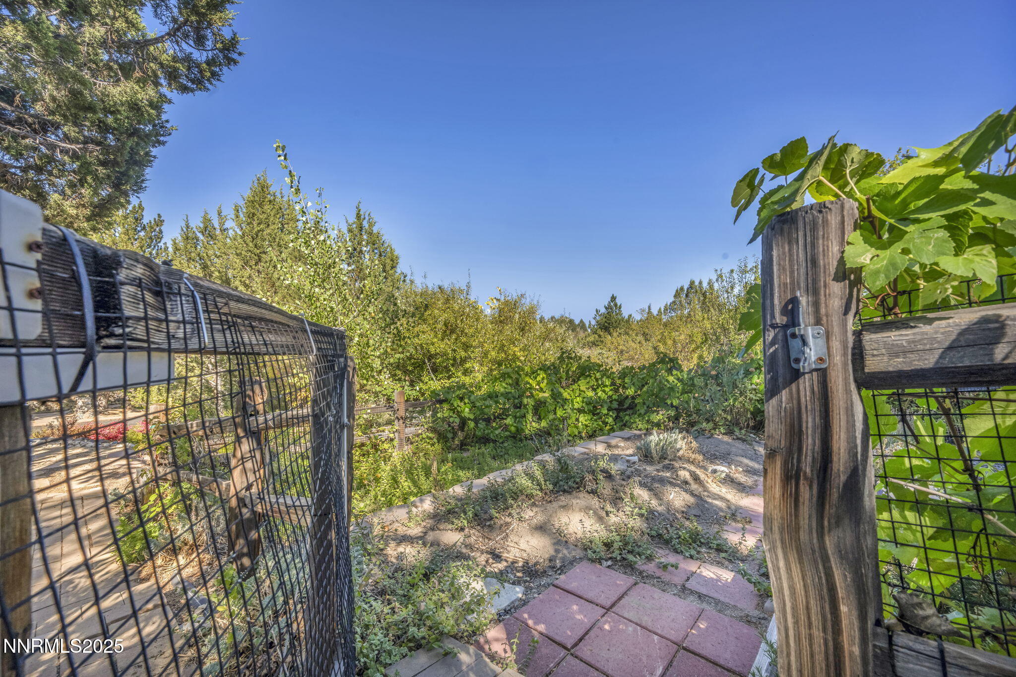 4283 Water Hole Road