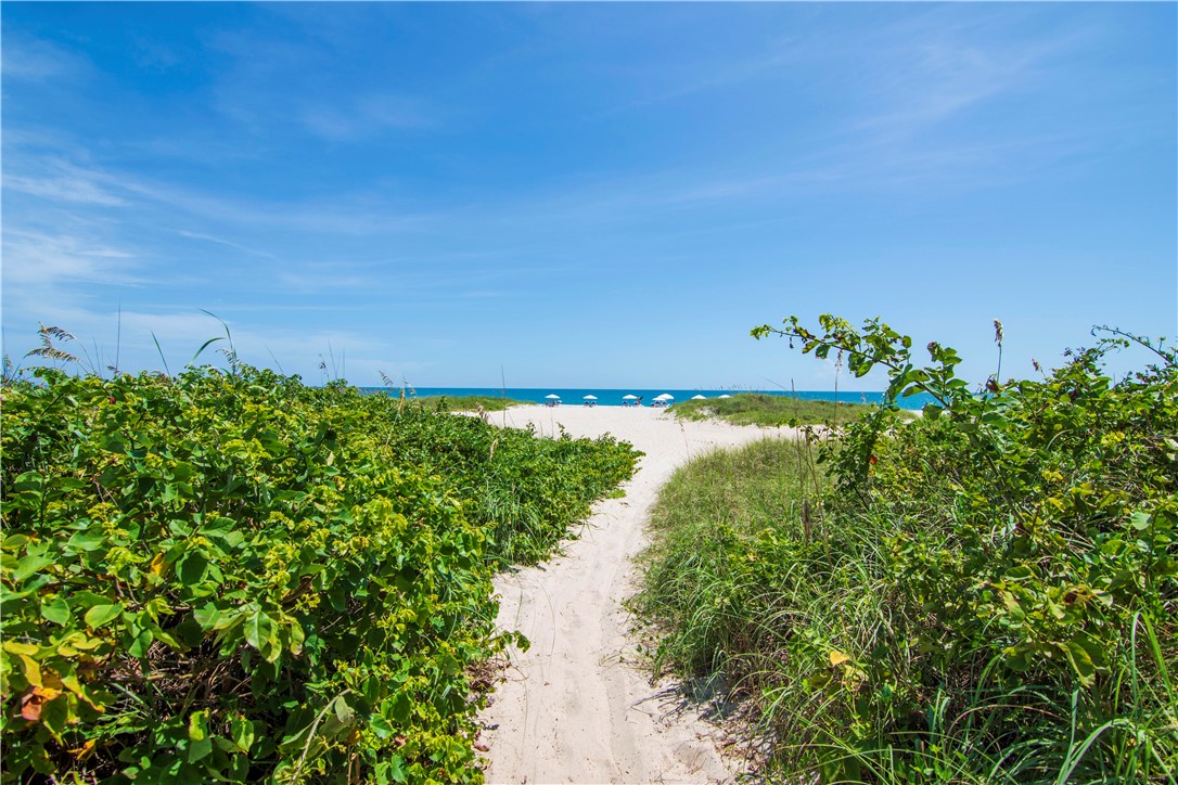 900 Jasmine Lane 203A