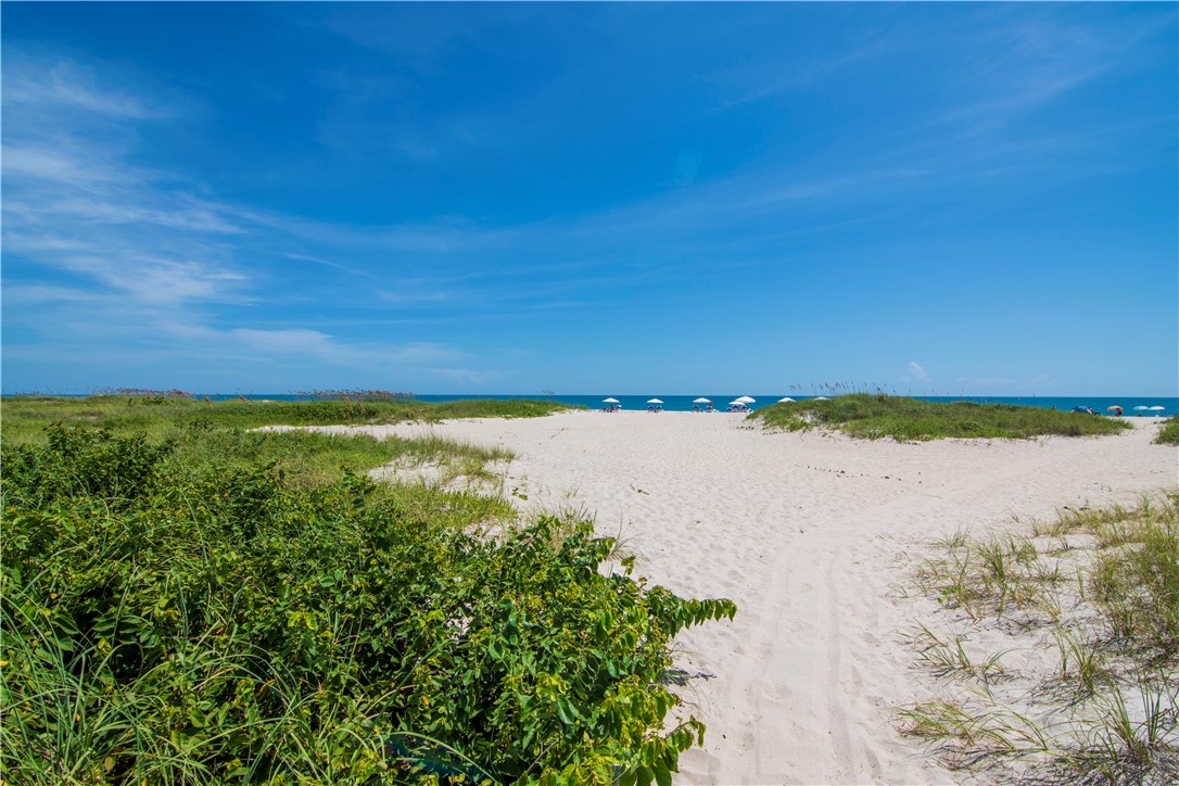 900 Jasmine Lane 203A