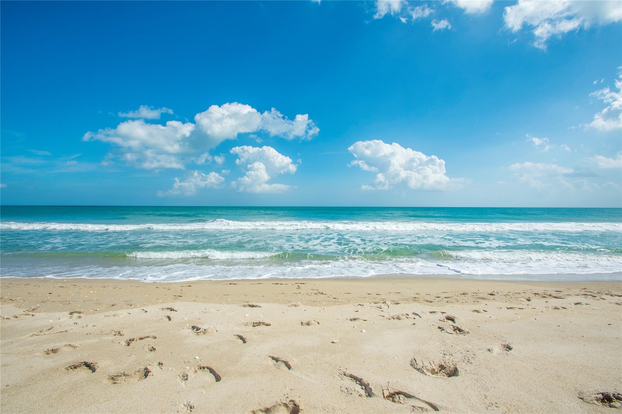 4250 N Highway A1a