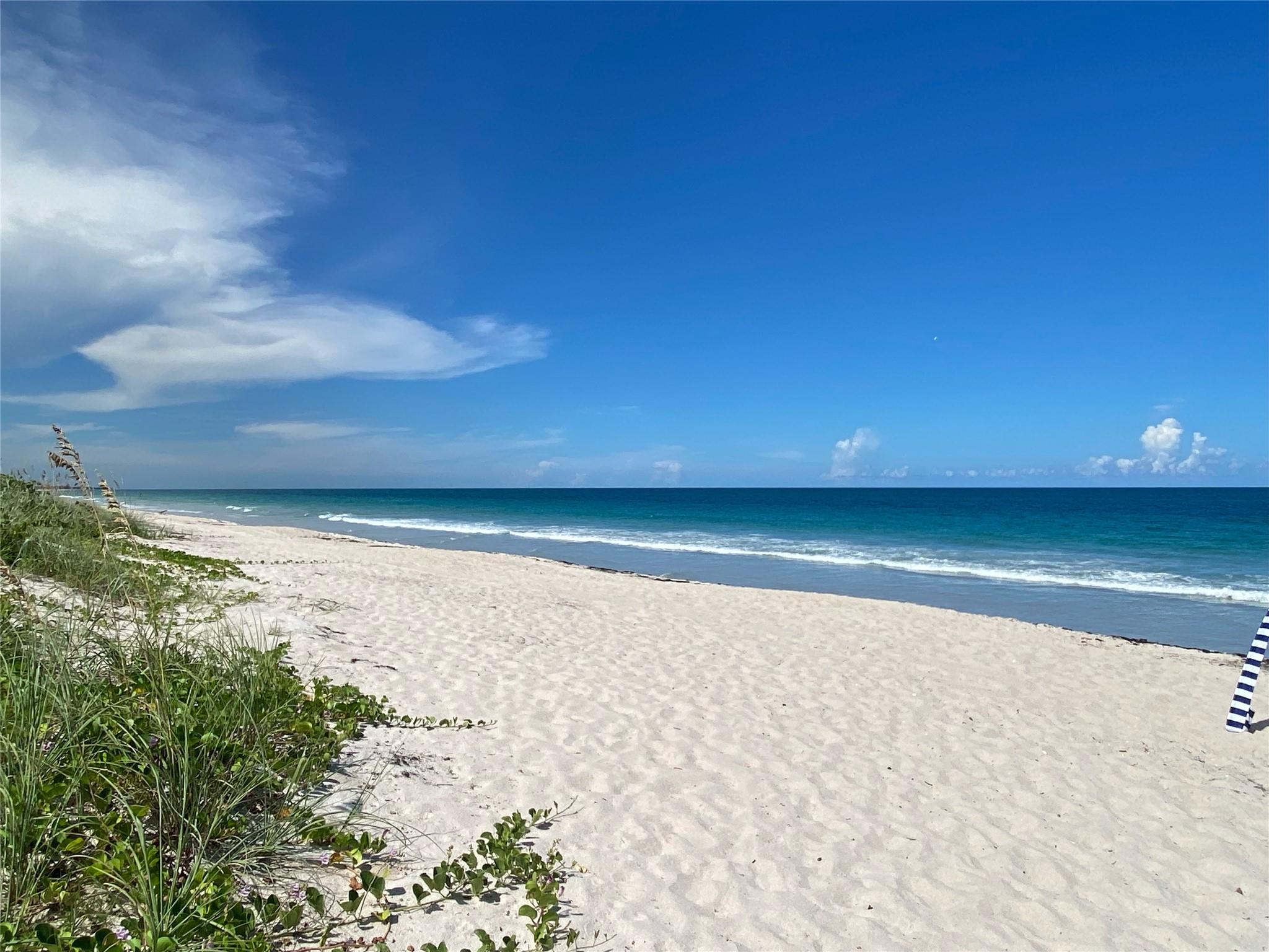 4250 N Highway A1a