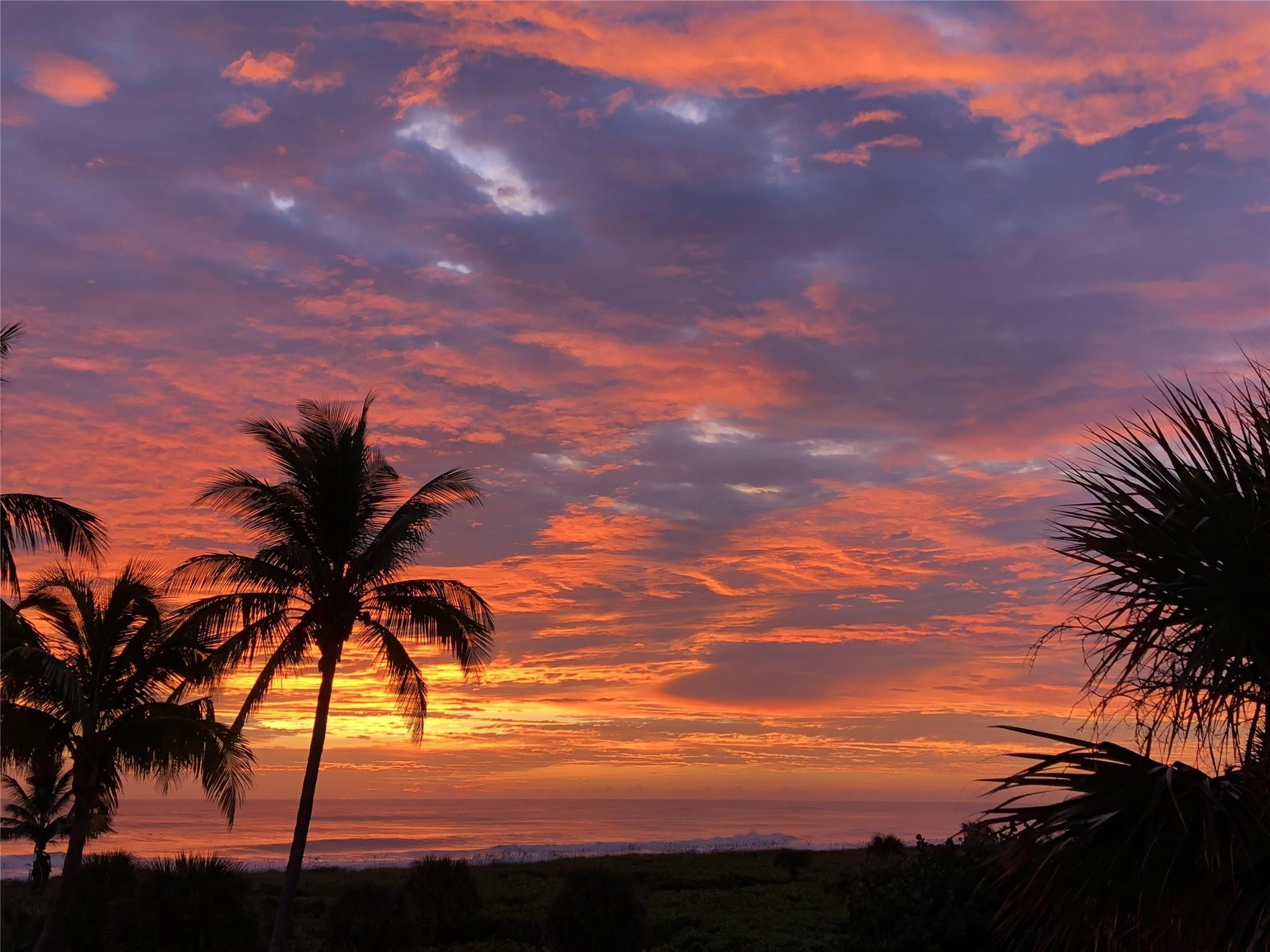 2800 N Highway A1a 307