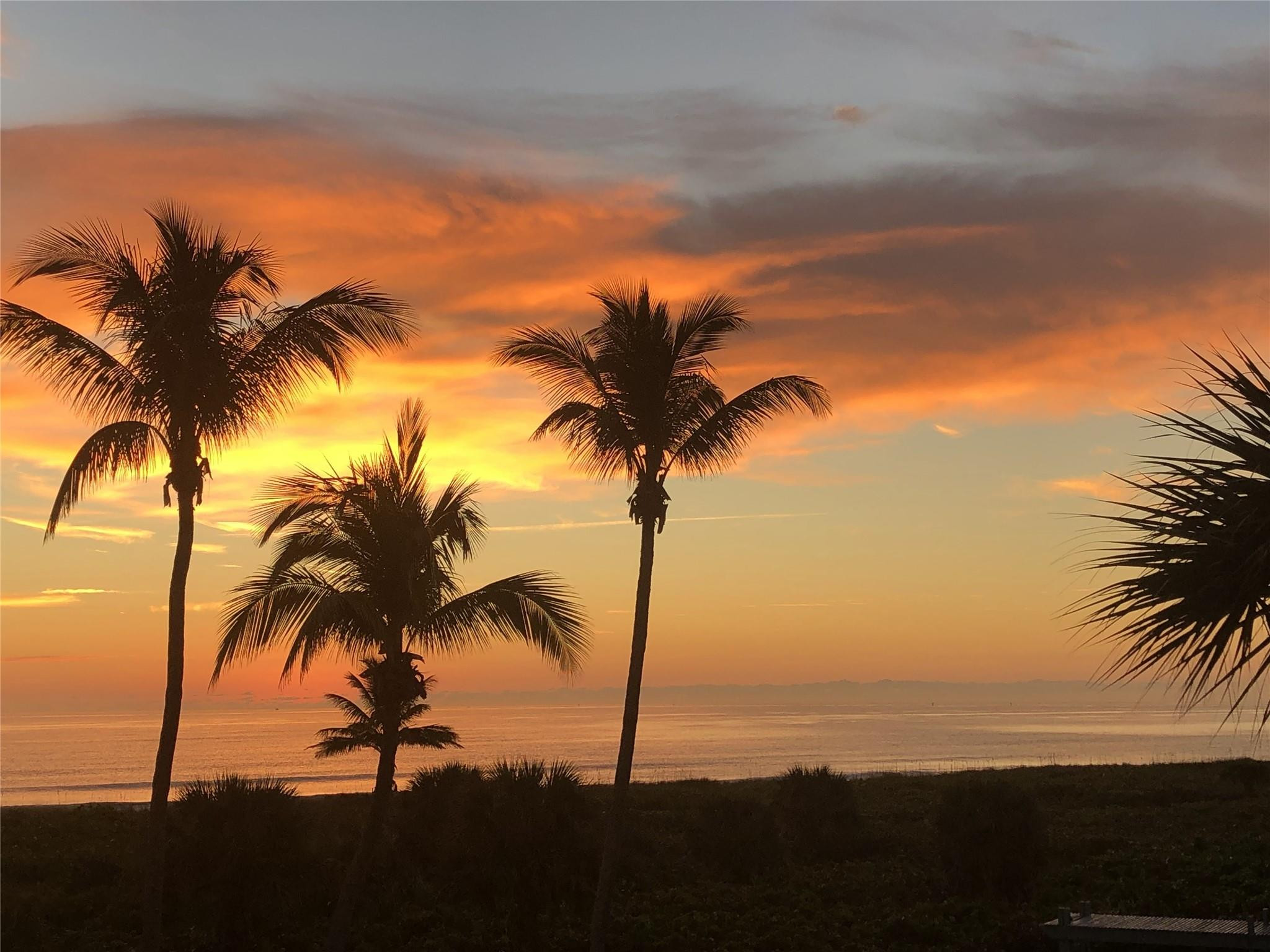 2800 N Highway A1a 307