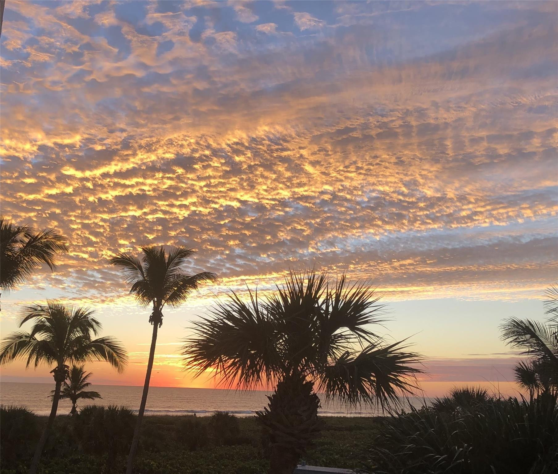 2800 N Highway A1a 307