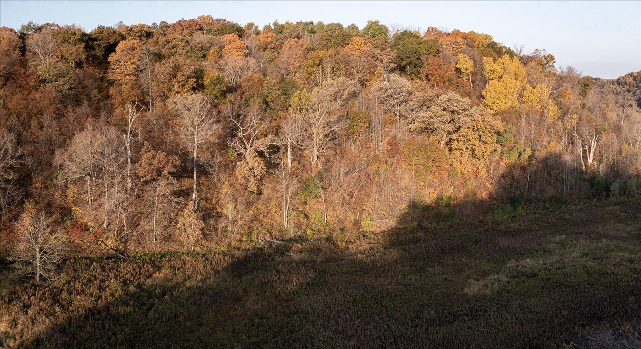 0000 HORNBY HOLLOW ROAD