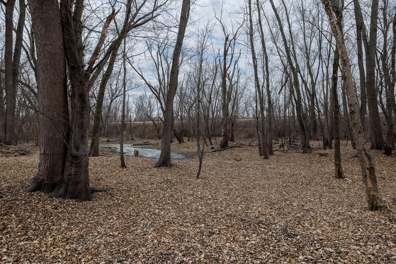 529 Shore Acres ROAD