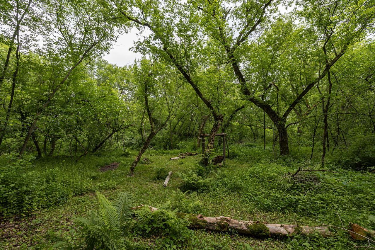 21340 Wolfe Run LANE