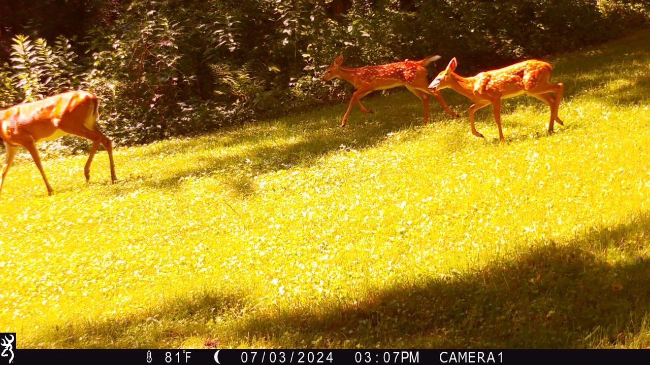 N7496 County Road HD