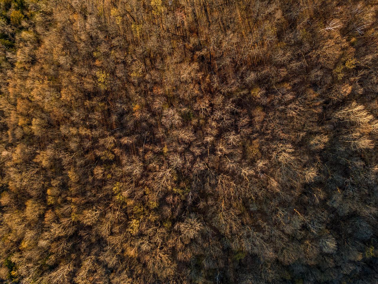 000 CEDAR HILLS LANE