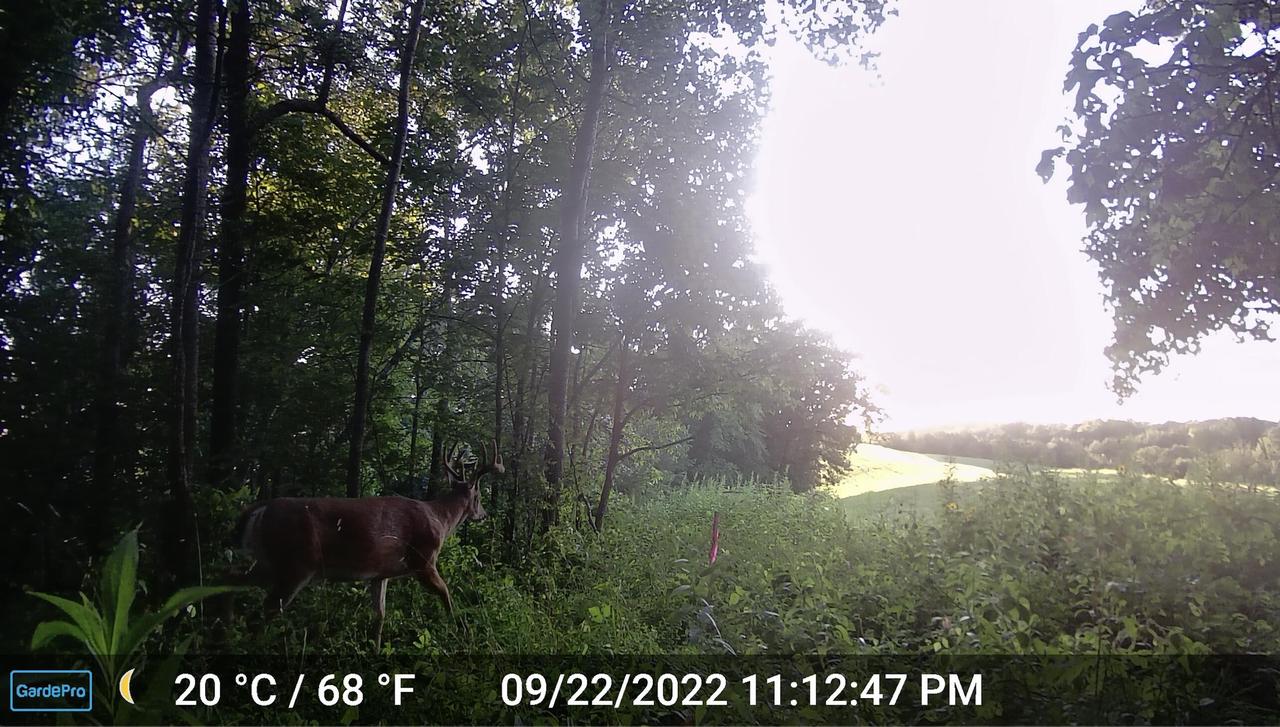 000 CEDAR HILLS LANE