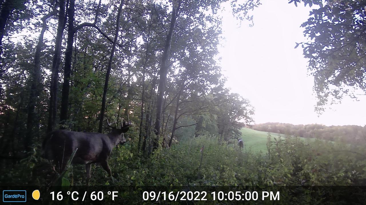 000 CEDAR HILLS LANE