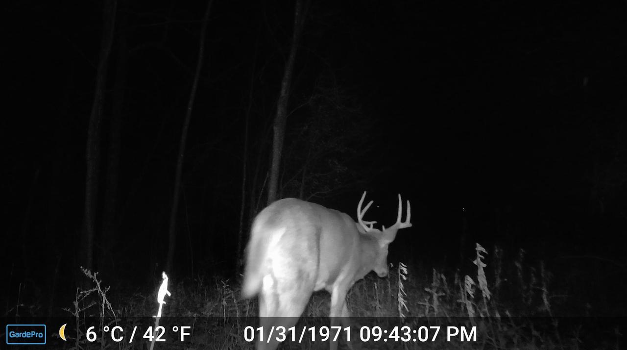 000 CEDAR HILLS LANE