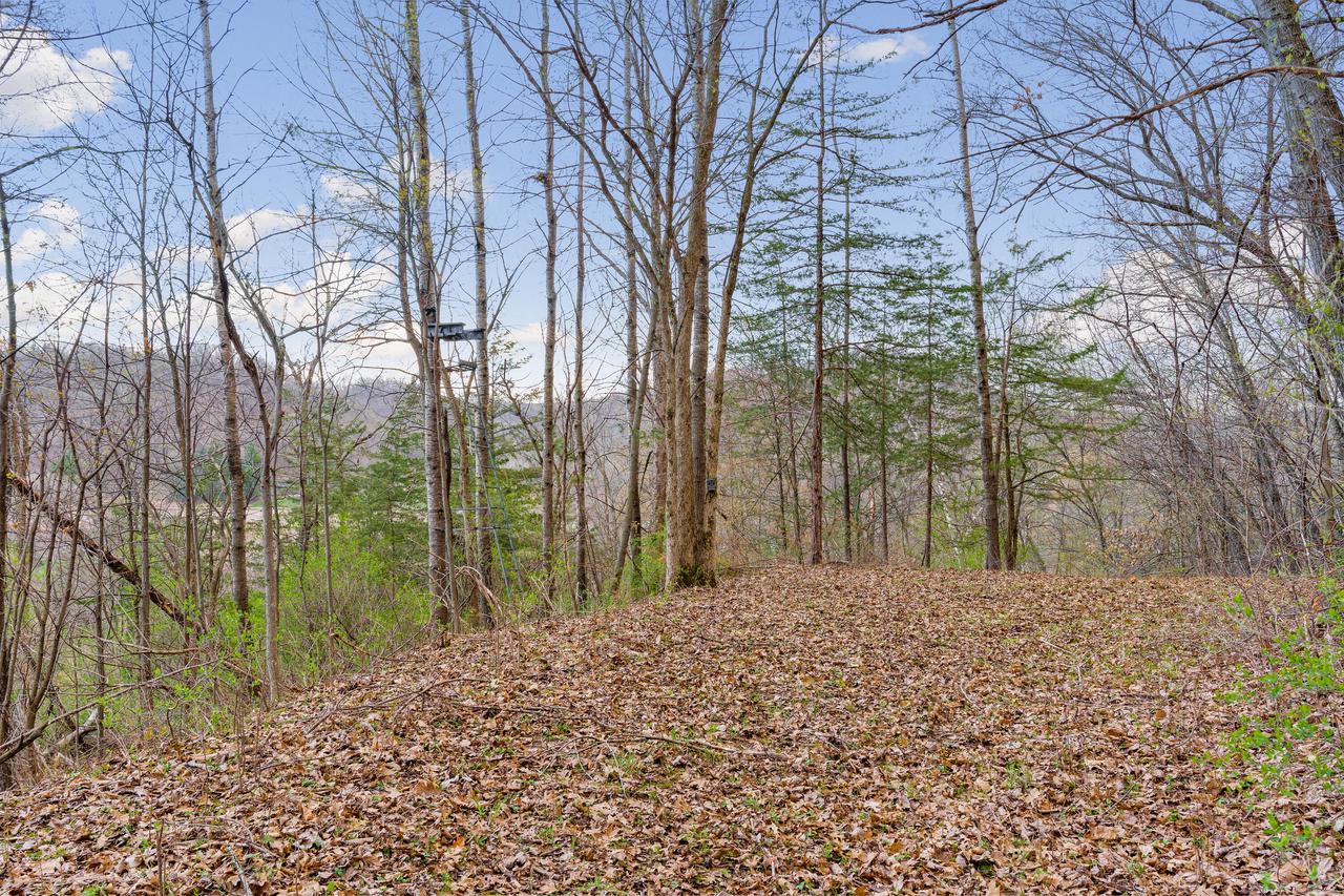 000 CEDAR HILLS LANE