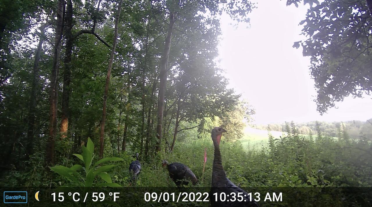 000 CEDAR HILLS LANE