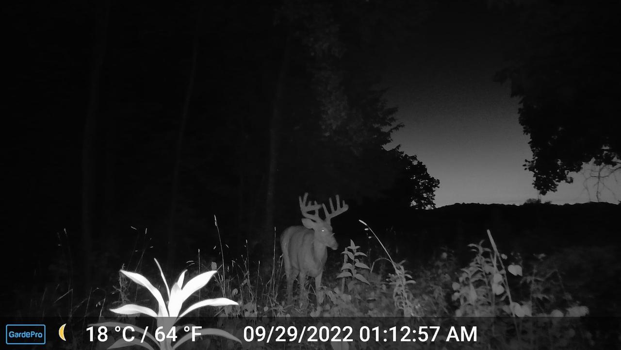 000 CEDAR HILLS LANE