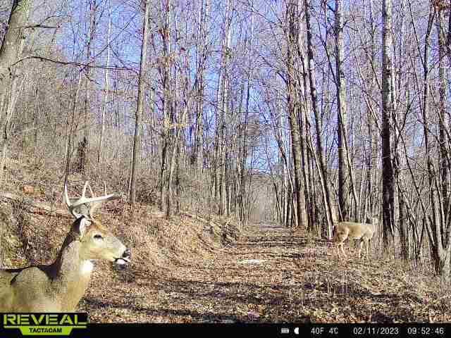 000 CEDAR HILLS LANE