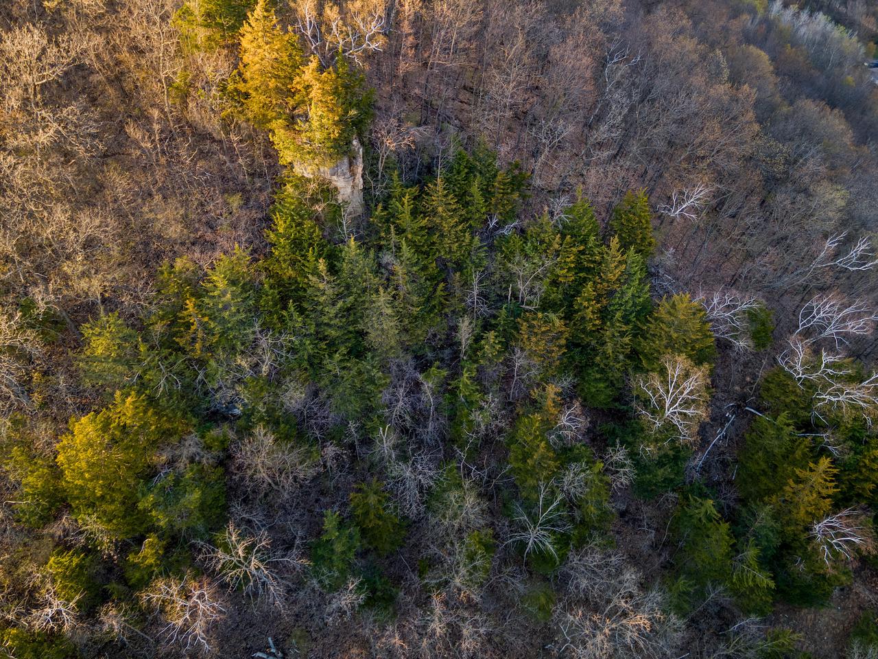 000 CEDAR HILLS LANE