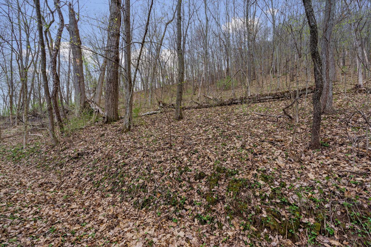 000 CEDAR HILLS LANE