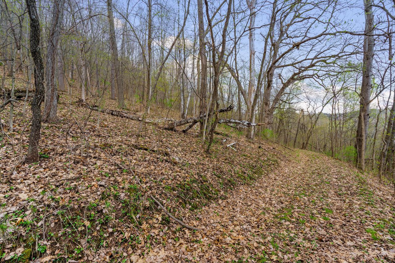 000 CEDAR HILLS LANE