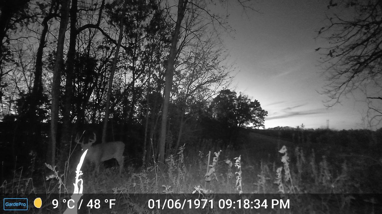 000 CEDAR HILLS LANE