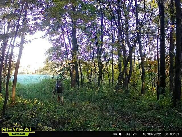 000 CEDAR HILLS LANE