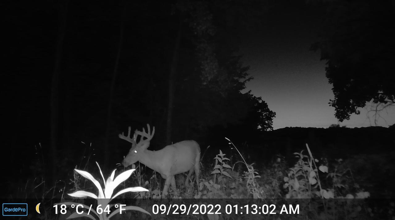 000 CEDAR HILLS LANE