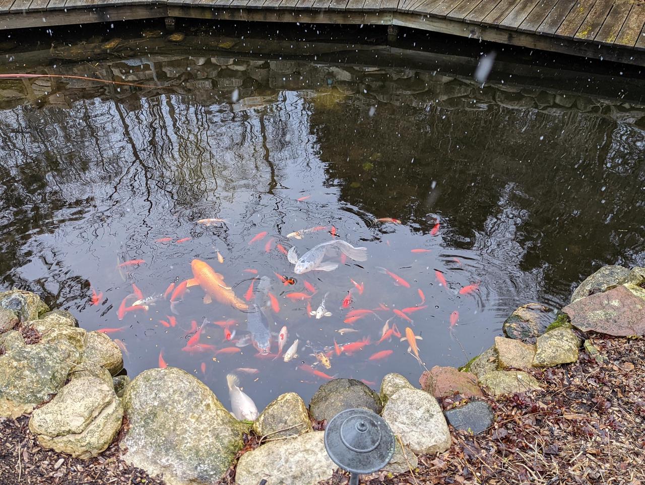 401 Prairie Hill WAY