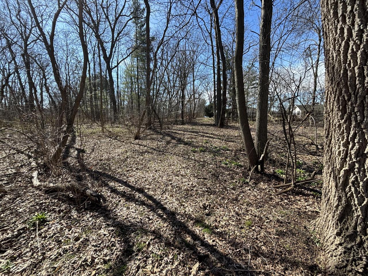 Lt22-27 MAPLE DRIVE