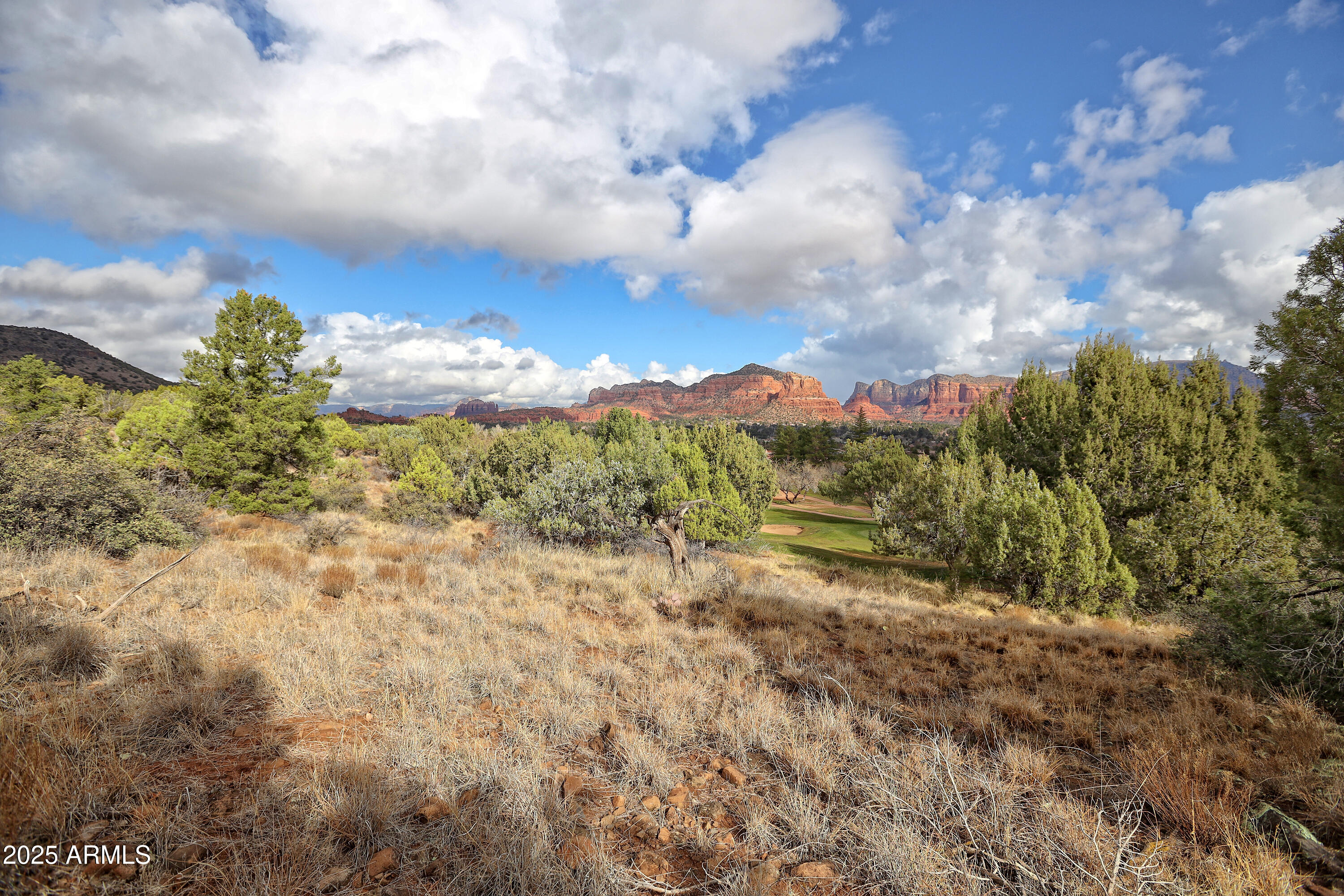 130 DIAMOND SKY Drive # 4