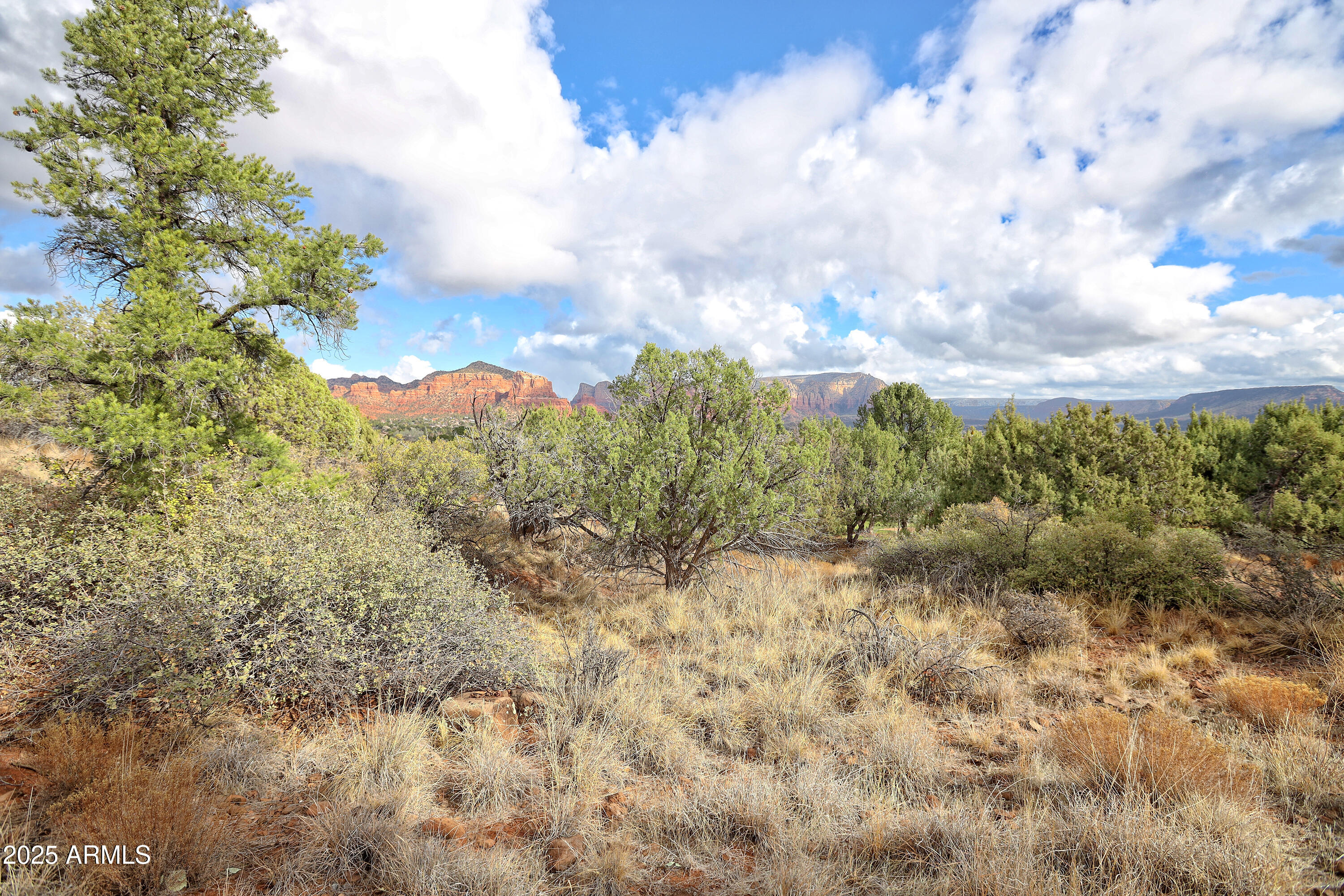 130 DIAMOND SKY Drive # 4