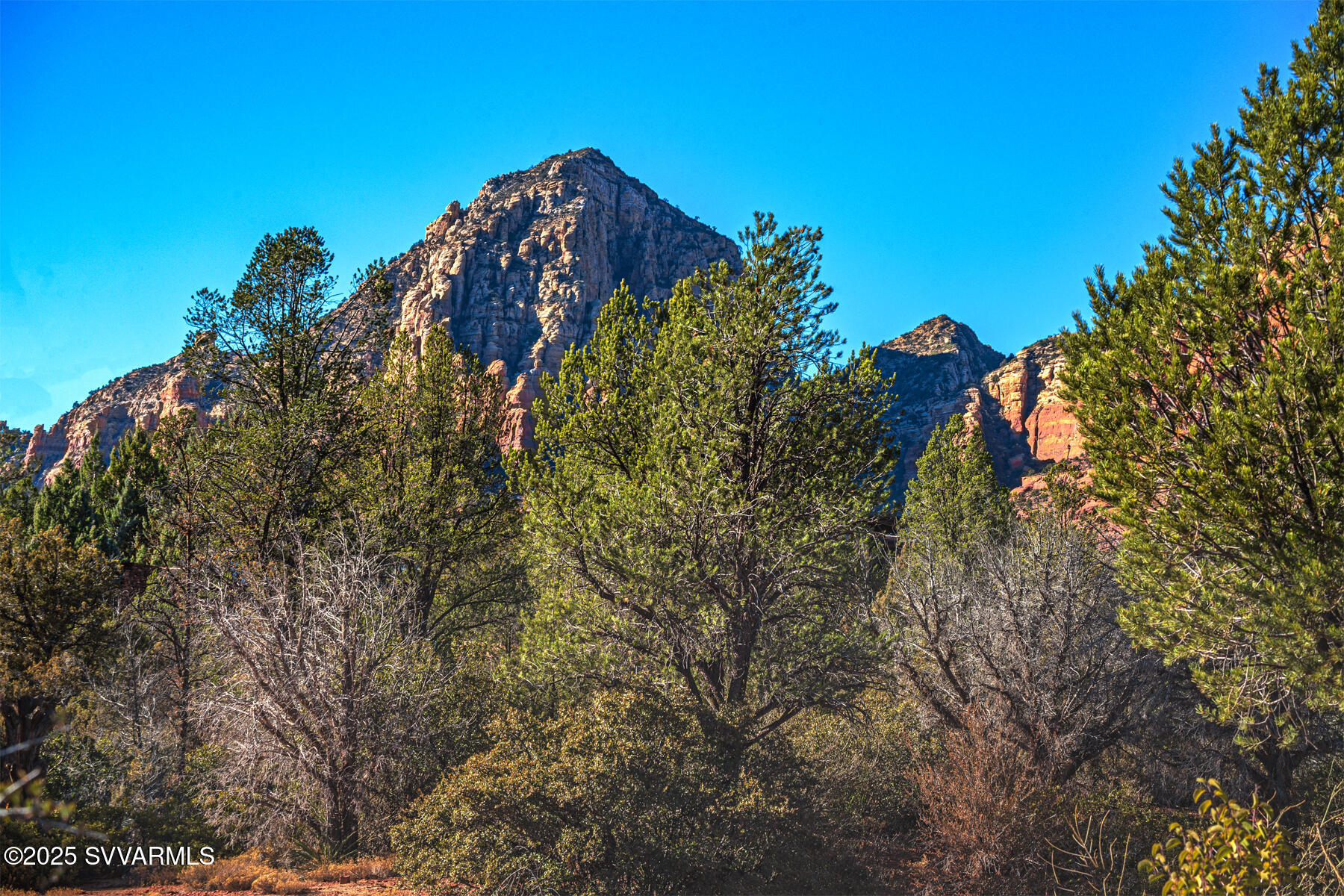 251 MOONLIGHT Drive -